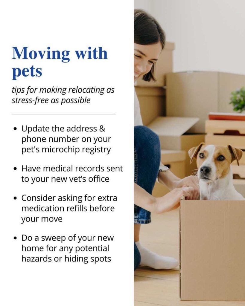 RealtorVivar's tweet image. Moving to a new home doesn’t have to be stressful for your pets. #movingwithpets #petfriendly #realestatetips #homebuyertips #homesellertips #homeownershipgoals #grammarpros #homebuying101 #firsttimehomebuyer #mortgage