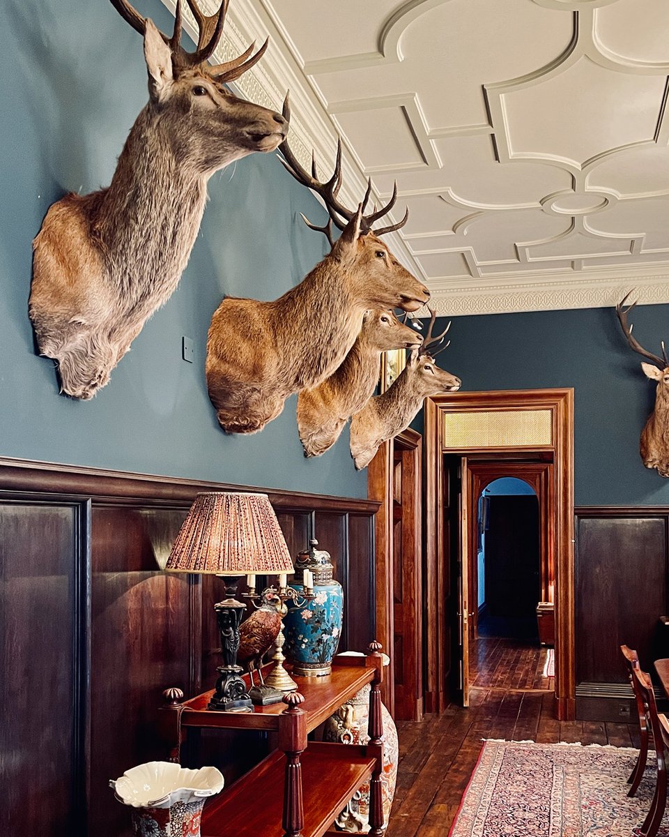 ExploreCookson's tweet image. With New Year’s Eve just around the corner, we’re looking to Scotland for a standout celebration unlike anywhere else in the world.

With exclusive use of a luxury lodge or historic castle, you can host memorable gatherings, staying in style.