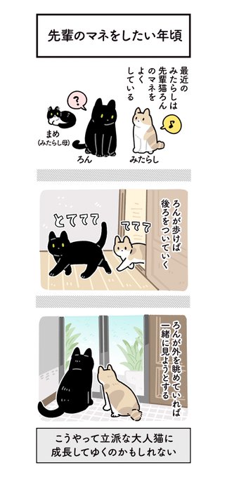 AKR｜7巻でたよ(@bou128) さんのマンガ一覧 : 18ページ目