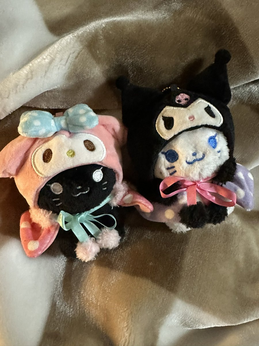 어서와 겸댕아 🩷💜
#탱냥이랑꽁냥
#깜탱냥이랑꽁냥