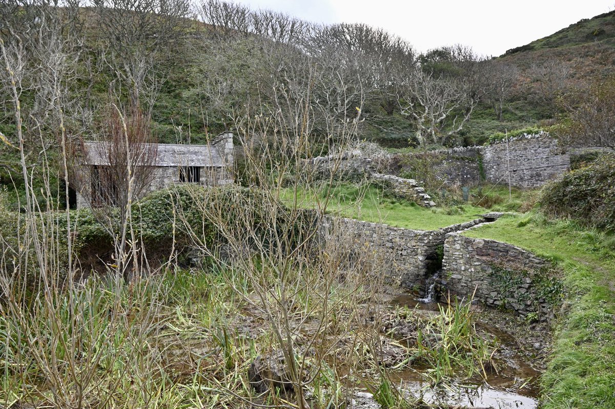 Once situated below the Walled Gardens of Millcombe House was a mill from which Millcombe derived its name #Lundy #Bristolchannel