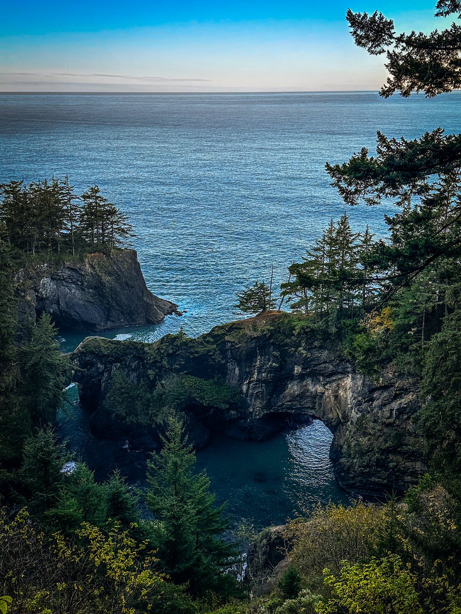 *:･ﾟ✧(ꈍᴗꈍ)✧･ﾟ:* tweet media