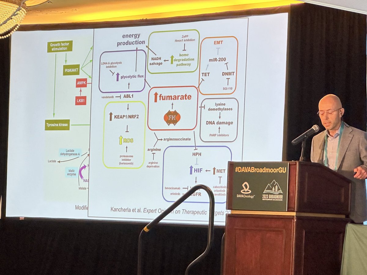 👨‍⚕️💡 Dr. @JBrugarolas teaches us we can learn from each patient. His FH-deficient RCC case study, spotlighting glycolysis dependence, reshapes our understanding. 🧬🔬 @DavaOncology @TiansterZhang