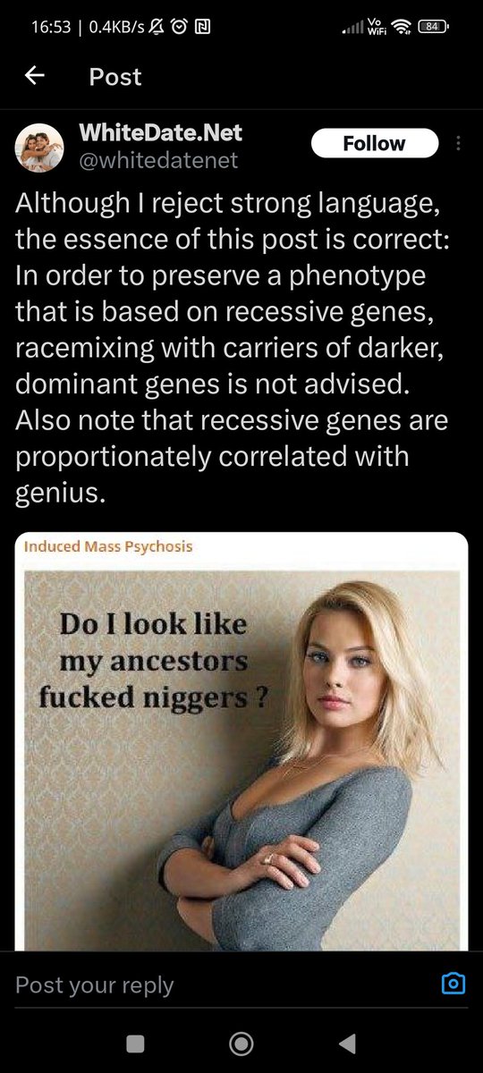 Steve Halley tweet media