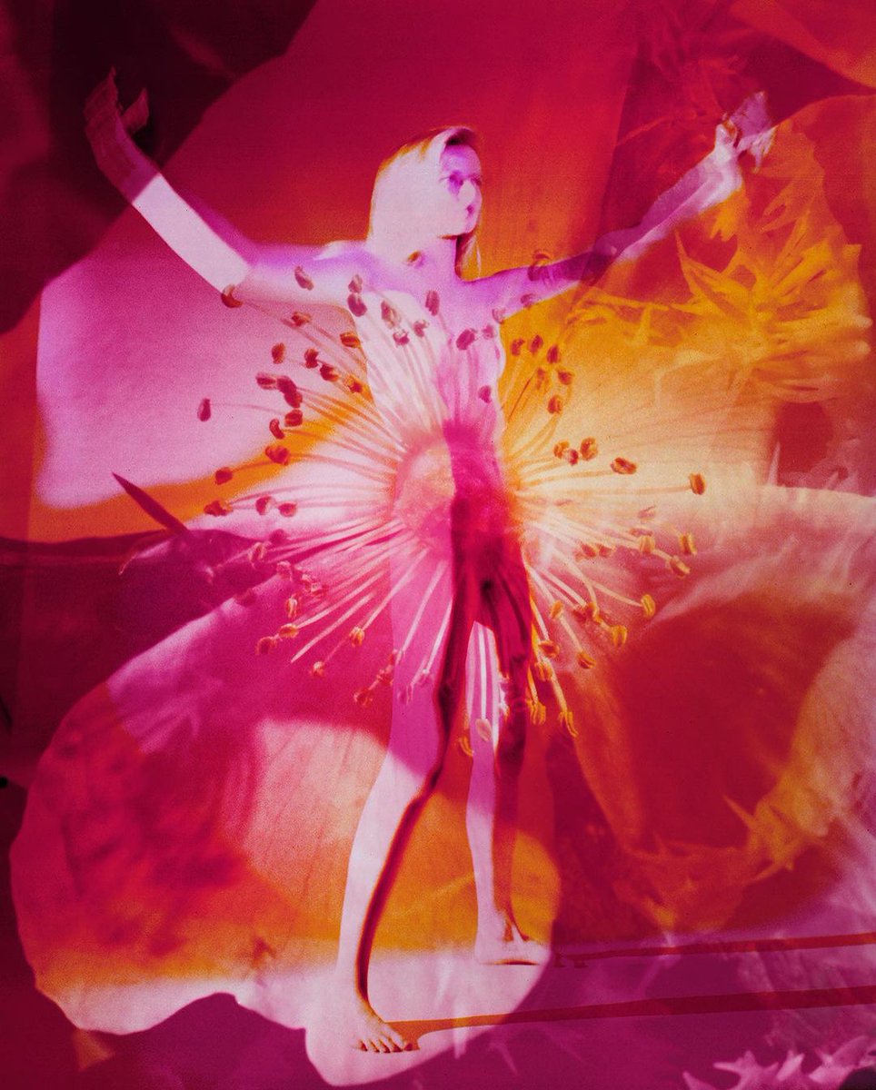 Floral inspiration via the visionary @garethwmcconnell #natureismagic 🌺