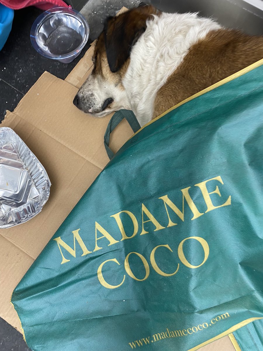 pakisimm's tweet photo. alışveriş merkezimizin köpeği hem yaşlı hem çok üşümüştü, @alacatimuhallebicisi kaç kere tavuk haşlayıp verdi🤍 @MadameCocoTR poşetleri battaniye yaptı saatte bir kontrol ediyoruz🤍 el birliğiyle herşey olur. https://t.co/ASl9aGVrG6