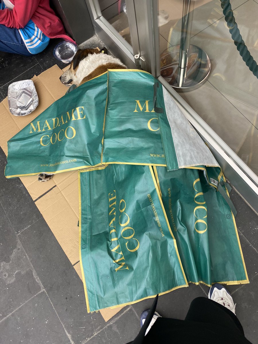 alışveriş merkezimizin köpeği hem yaşlı hem çok üşümüştü, @alacatimuhallebicisi kaç kere tavuk haşlayıp verdi🤍 <a href="/MadameCocoTR/">Madame Coco</a> poşetleri battaniye yaptı saatte bir kontrol ediyoruz🤍 el birliğiyle herşey olur.