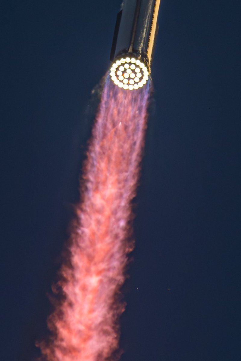 Lauren Potterat tweet media