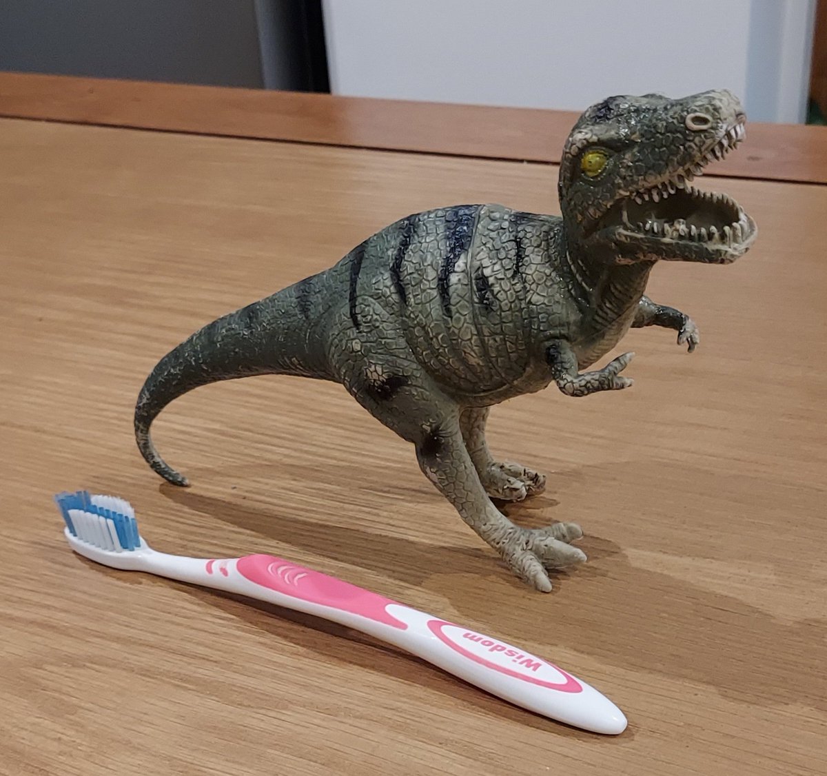 OldershawAngela's tweet photo. @jilleen_st No sooner said than whatnot! November 18th - first bauble found! Not as good as the days most #funfind though! Raaaar! (Toothbrush for scale!) #strangefinds @LegoLostAtSea @CornishSpliced @Dave_Dixon1 @Kittylitterpic1 @LessWasteLaura @waddells74 https://t.co/uyOks6fRW5