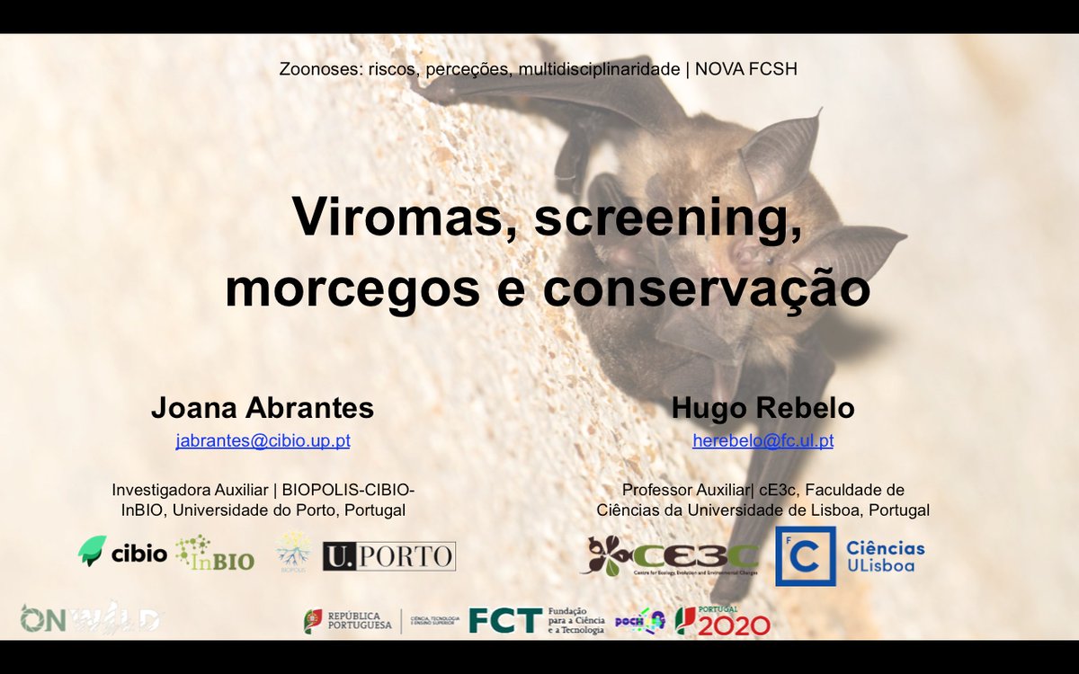 ZoonoMed project tweet media