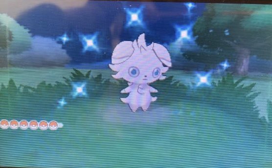 eleger10110508's tweet photo. Live full odds Shiny Espurr 😼 after ??? REs (Phases 3🥲
  #ニャスパー色違い #フレンドサファリ #fullodds #fulloddsshiny #fulloddsshinypokemon 
 #shinypokemonhunter #shinyhunt #shinypokemongo #shinypokemons #shinyhunter✨ #shinyhunters✨ #shinyhunting 
#色違いポケモン #色違い https://t.co/q8aGsS3lbI