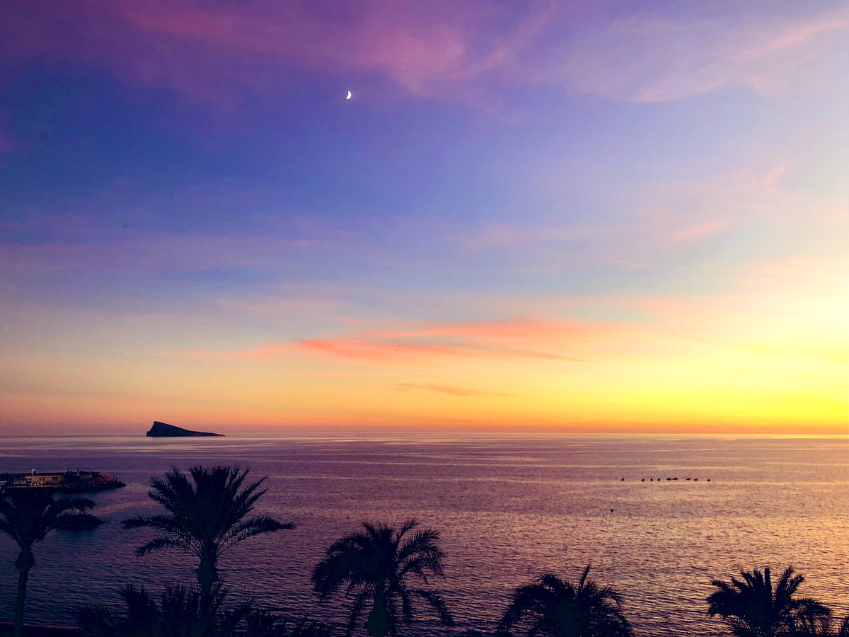 Lynn Fradders tweet media