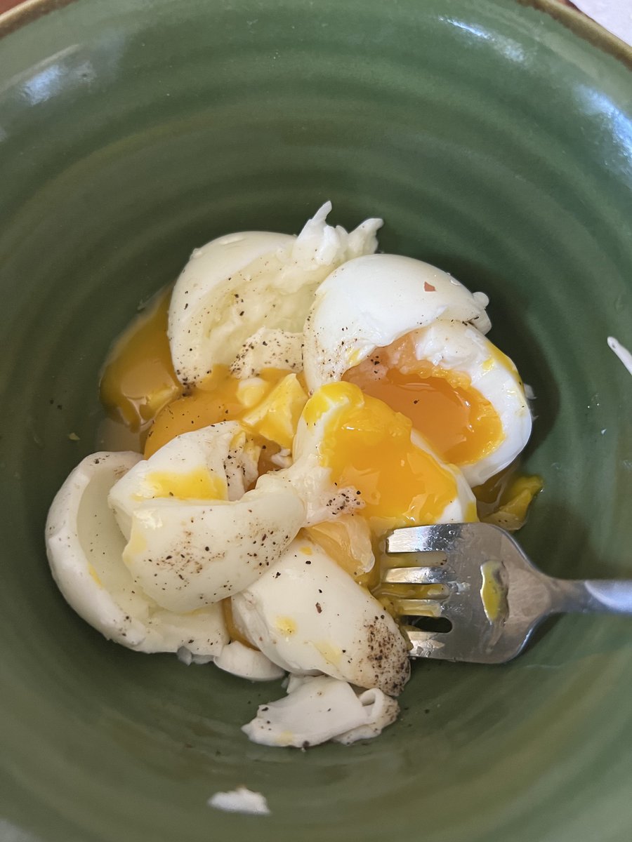 The Bio Hacking Journal tweet media