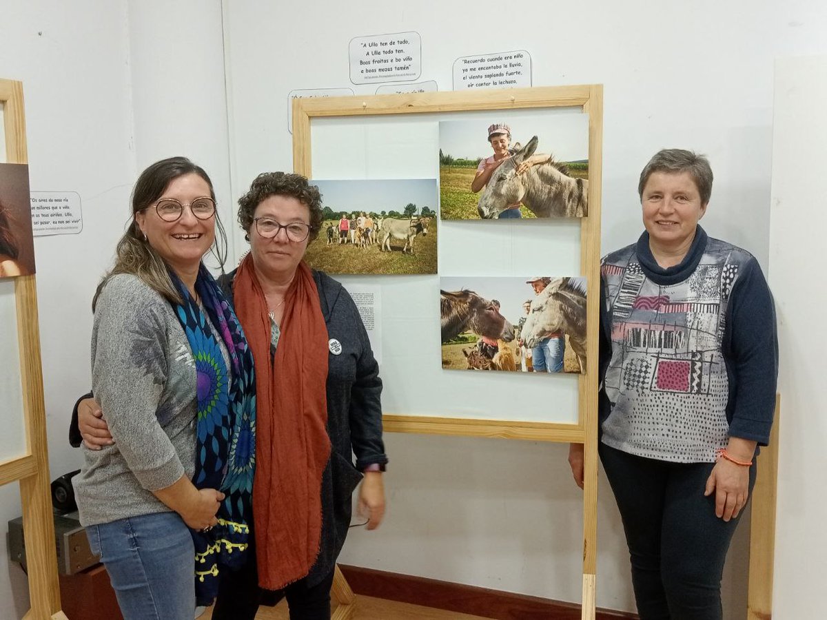 Sindicato Labrego tweet media