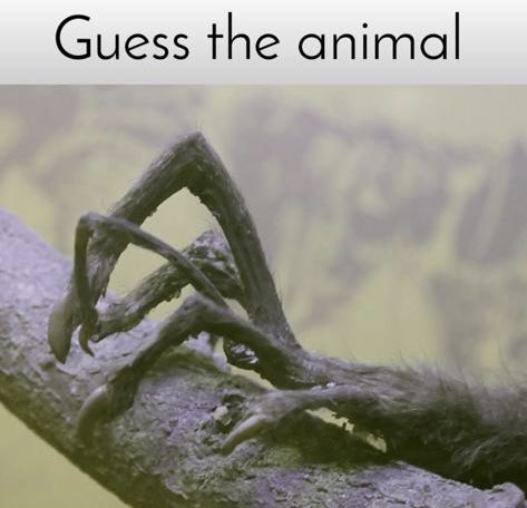 Science girl tweet media