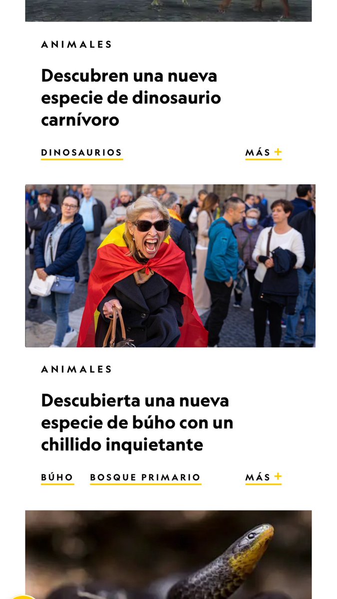 HomoErectus tweet media