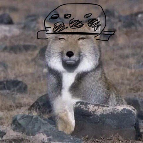 มองภาพนายสลับกับถือภาพคุณลอว์เปรียบเทียบ

น นี่มัน..

“คค คน(?)เดียวกันเลยนี่นา!!?!?”