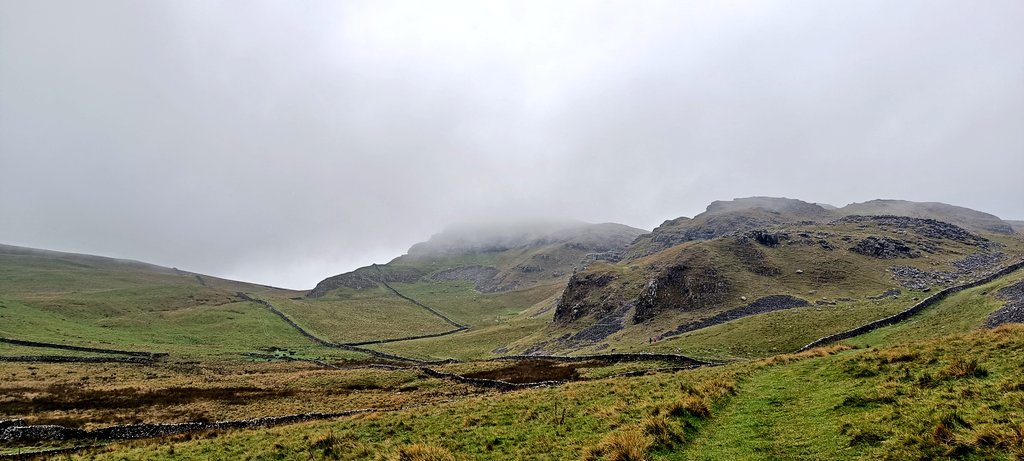 Seonaid Webb MBE tweet media