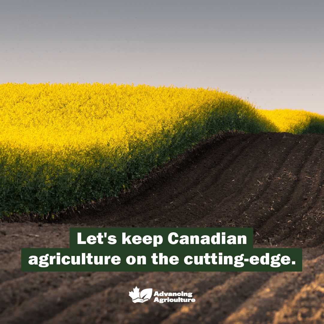 Canadian agriculture - growing food while keeping the land healthy. Learn more about how Canadian agriculture can continue to grow. 
 
 #AdvancingAgriculture

advancingagriculture.ca