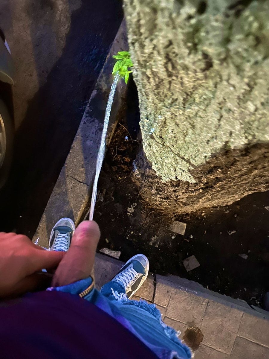 El Moreno Cabron Chakal 😈🔥 tweet media