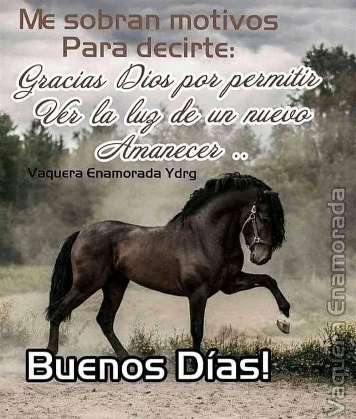 Lupe Monroy (@lupemonroy6) on Twitter photo 