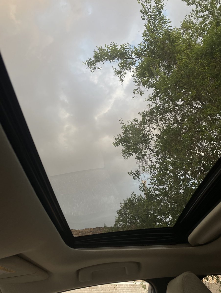 جواهر الحربي tweet media