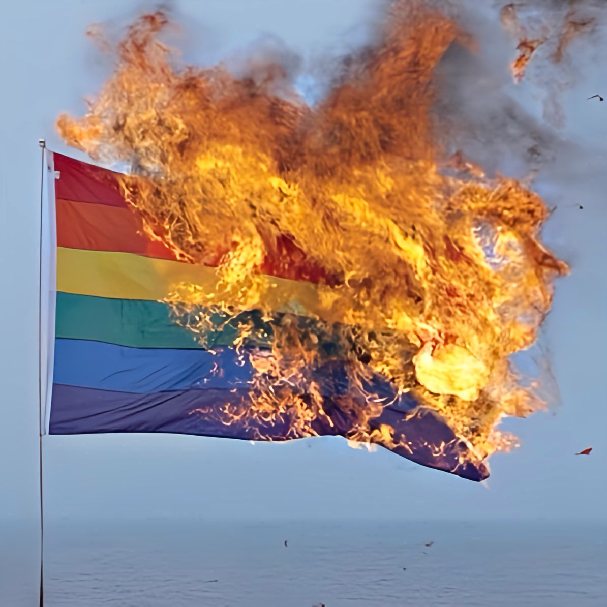 eduardomenoni's tweet image. 🚨| ÚLTIMA HORA: DURÍSIMO GOLPE al Lobby LGBTIQ+. Rusia toma medidas para prohibir el "movimiento" LGBTQ por su extremismo. ⚠️ ¿Apoyas esta contundente medida?