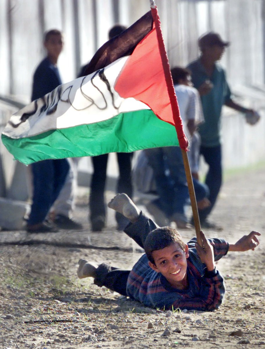 Al__Quraan's tweet photo. This flag won't fall down, it will wave up high forever. #FreePalestine 🇵🇸 ❤️☝️ https://t.co/87FKfTHUkK