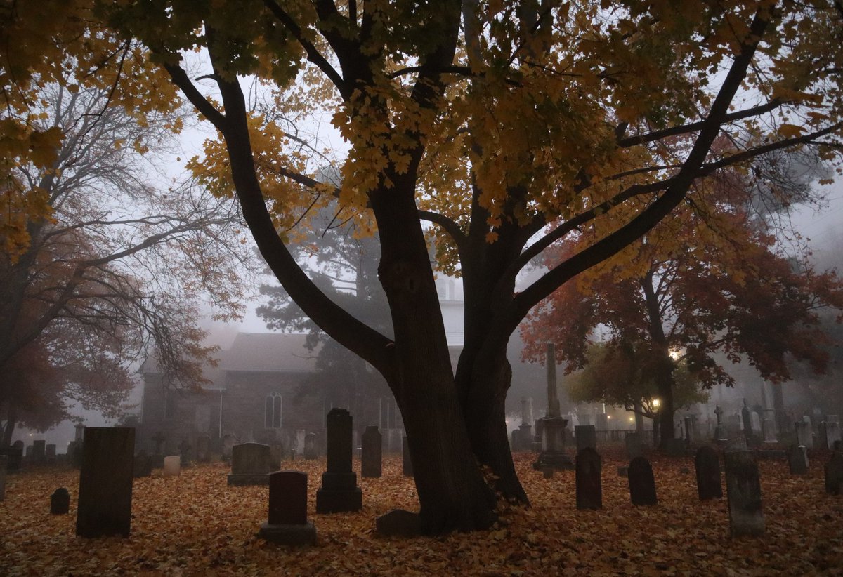 Some of you may remember this photo from last year. For newer followers: One of my favourite fall shots.

Wishing you all a good weekend. 🍂🍁