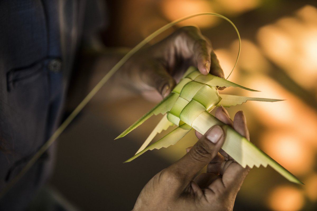 FSThailand's tweet image. Witness magic as our skilled gardener meticulously hand-weaves exquisite coconut leaf toys, capturing the beauty of nature in every strand. Discover more through the link bit.ly/fskoh. #fstakeyourtime #fskohsamui