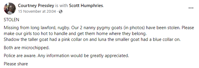 Pawprints Dog Rescue (UK) tweet media