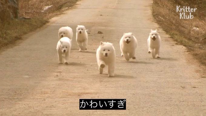 나한테 크래비티 그냥 이런 느낌임