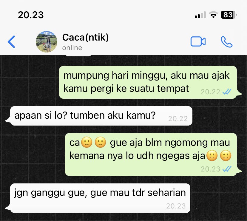 ketika lo memacari introvert &amp; mageran girl: