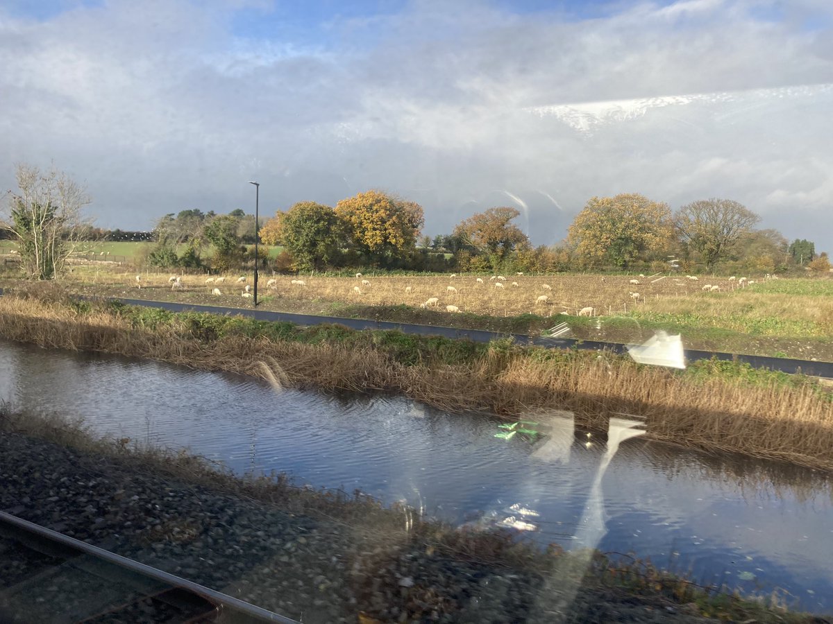 LansleyP's tweet photo. On the train to Mullingar to drink cask ale at @wild_fest_gar https://t.co/VHySoxnOre