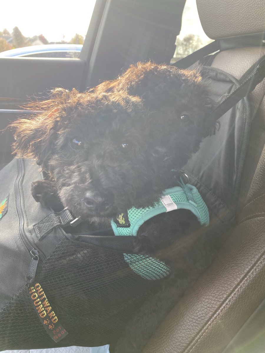 Cindy Conley tweet media