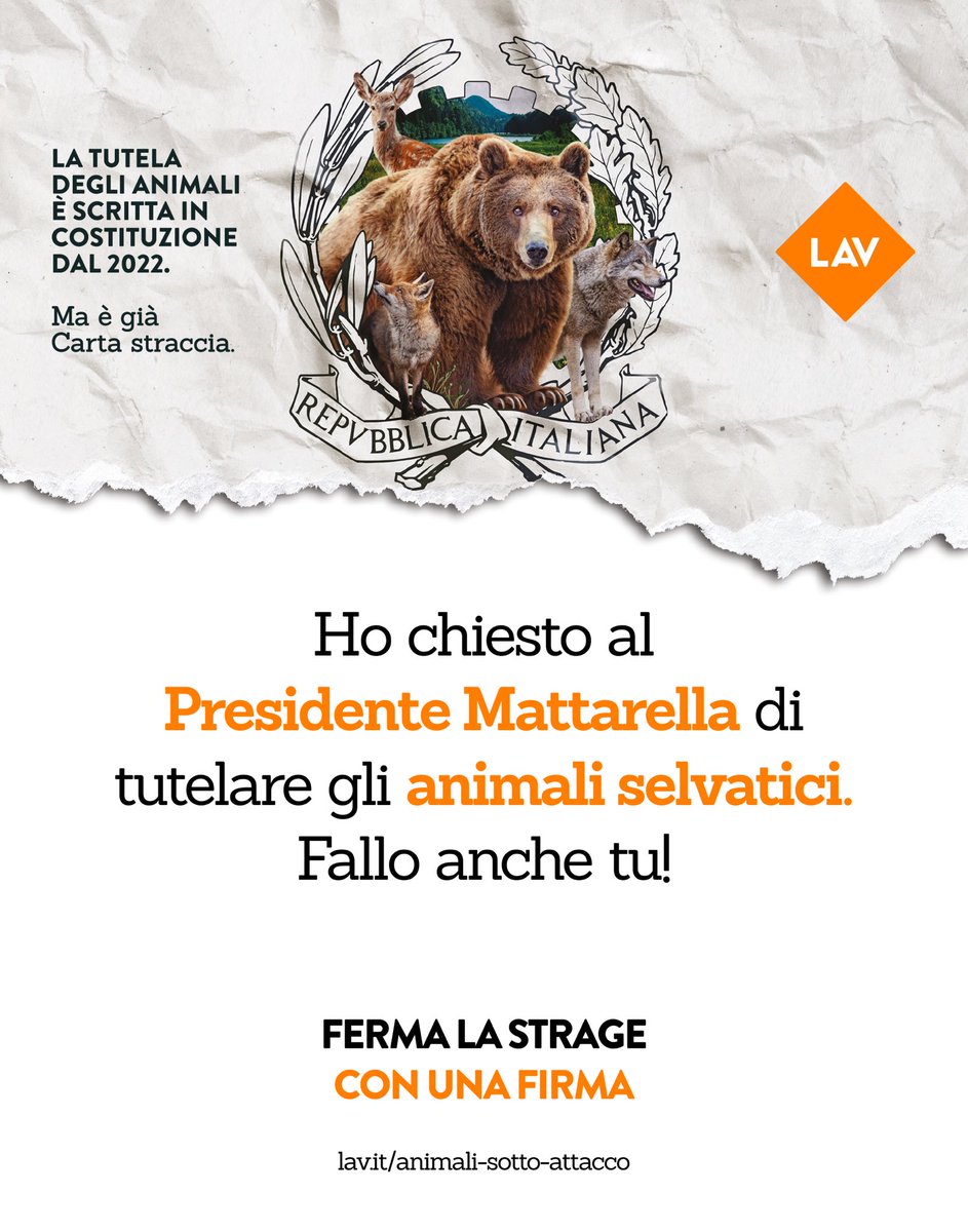 VeggieEry's tweet photo. Potete firmare a questo link ➡️ https://t.co/mhRNZlA0Qo https://t.co/5kHTUQhXvp
