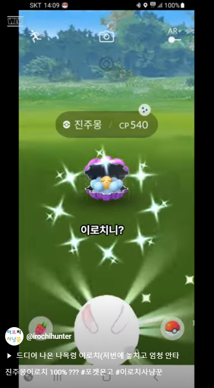 [포켓몬고] 진주몽이로치 100% ??? imblogmania.tistory.com/5387