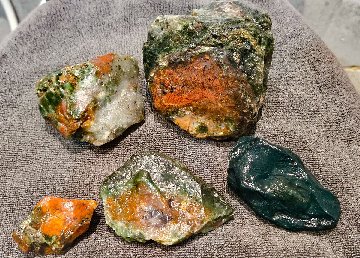 Øystein tweet media