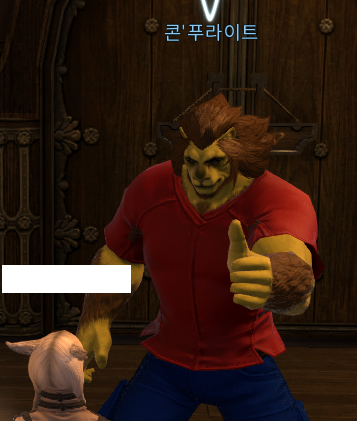 파판14 흥미로운 닉네임 tweet media