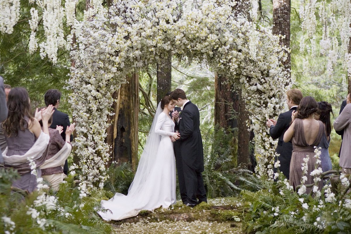 archivetwilight's tweet photo. 12 years ago The Twilight Saga: Breaking Dawn Part 1 was released. (November 18, 2011) https://t.co/5msVwWOlaM