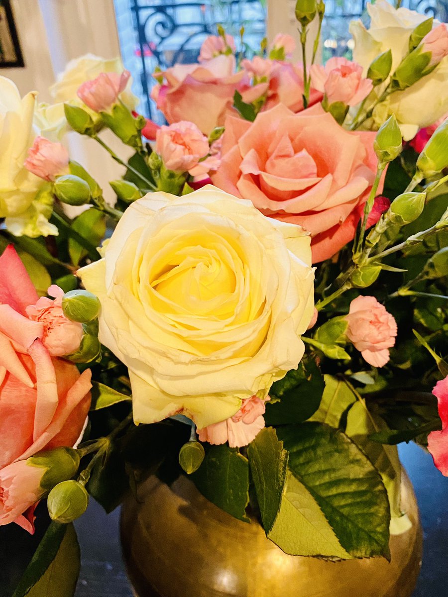 EmmanuelPierrat's tweet photo. Une botte de roses blanches et une d’œillets roses du marché de ce matin que je mélange aux vaillantes roses de samedi dernier.
Et voilà un joli bouquet composé pour égayer une journée au temps maussade !
#roses #oeillets #flowers #bonheurdujour #fleurs #bouquet #flowers #eyelet https://t.co/elSGIdqLFb