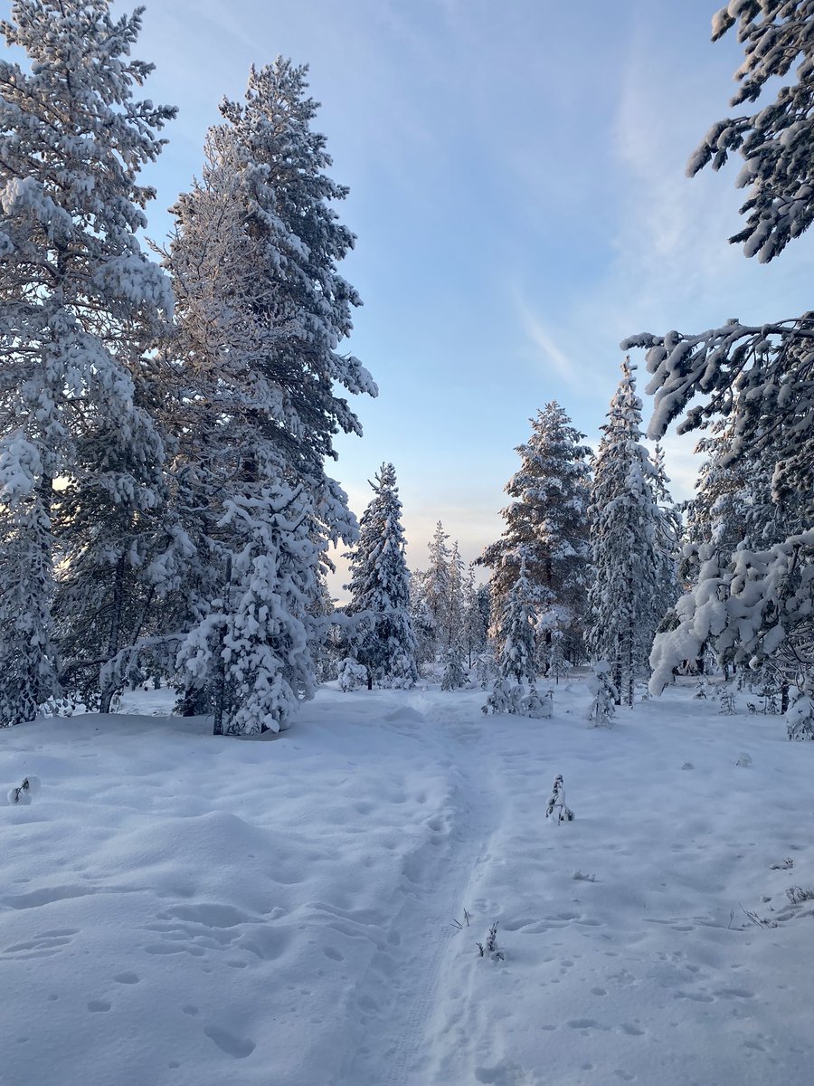 Just want to say thank you to <a href="/easyJet/">easyJet</a>  and all the crew from Manchester to Rovaniemi this morning. You really made the effort to get everyone on Christmas mood ! Everyone shouting “I believe” to get reindeers going and toilet roll game😂, loved it ❤️