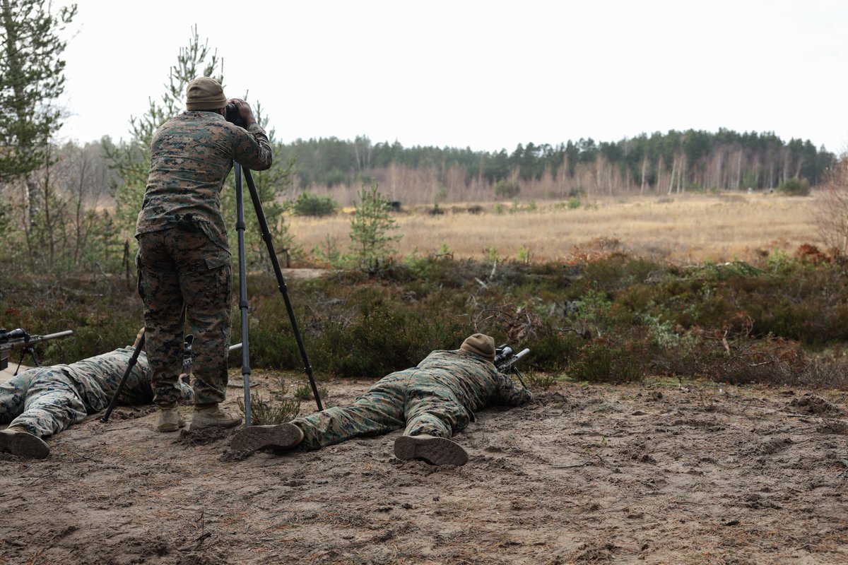 #Marines and #Sailors with @2dMarDiv conduct a live-fire sniper rifle range in Hanko, Finland, Nov. 9. 

Marines and @USNavy Sailors conducted live-fire training to refine their marksmanship techniques and enhance the unit's combat effectiveness. 

#USMC #BlueGreenTeam