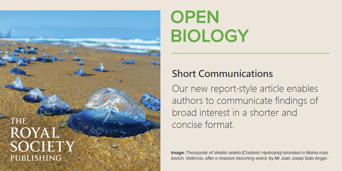 #OpenBiology welcomes report-style articles that present a significant finding or a new and challenging idea within a shorter format. Find out more: ow.ly/hegu50GNNur #OpenAccess