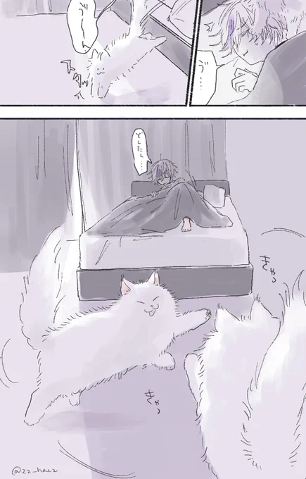 羨ましすぎパート2※猫ちゃんなど捏造
キャッキャ猫ちゃんにおこされたい 