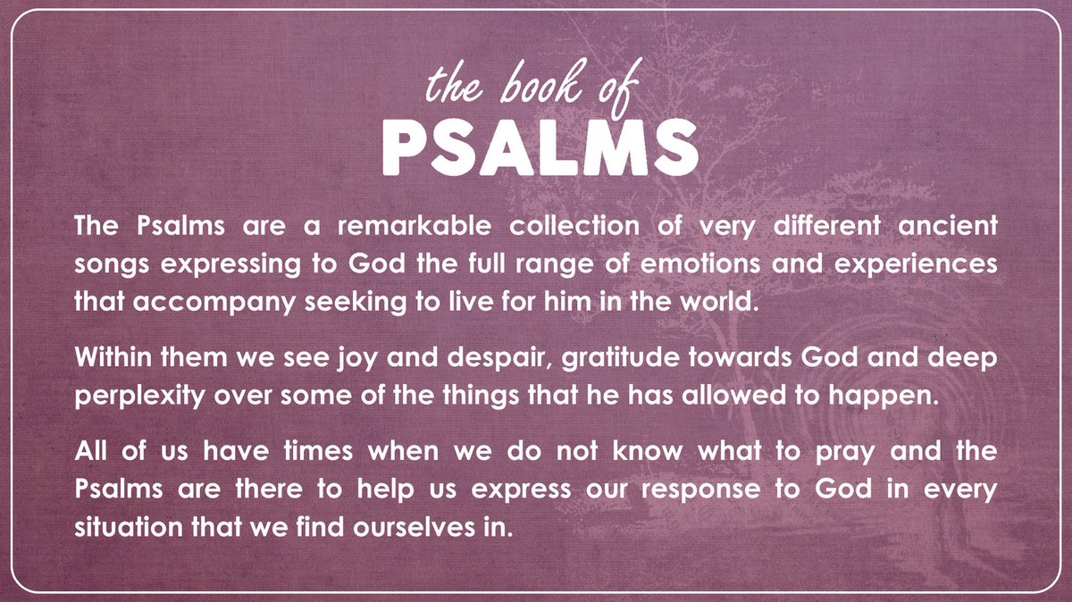 Christ Church News (@ccnmnews) on Twitter photo 