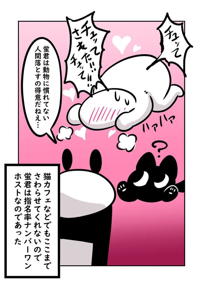 うちの蛍君は超!人間たらし!!
