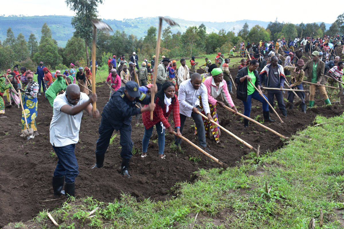 rulindodistrict's tweet image. Muri uyu muganda, urubyiruko rwo mu Murenge wa #Kisaro @rulindodistrict rwifatanyije n'Intumwa za @RwandaParliamnt bari mu iruriro APNAC; aho bateye ibiti by'imbuto n'ibivangwa n'imyaka, bagahanga n'ikibuga cy'umupira w'amaguru ku ishuri rya Kigarama.