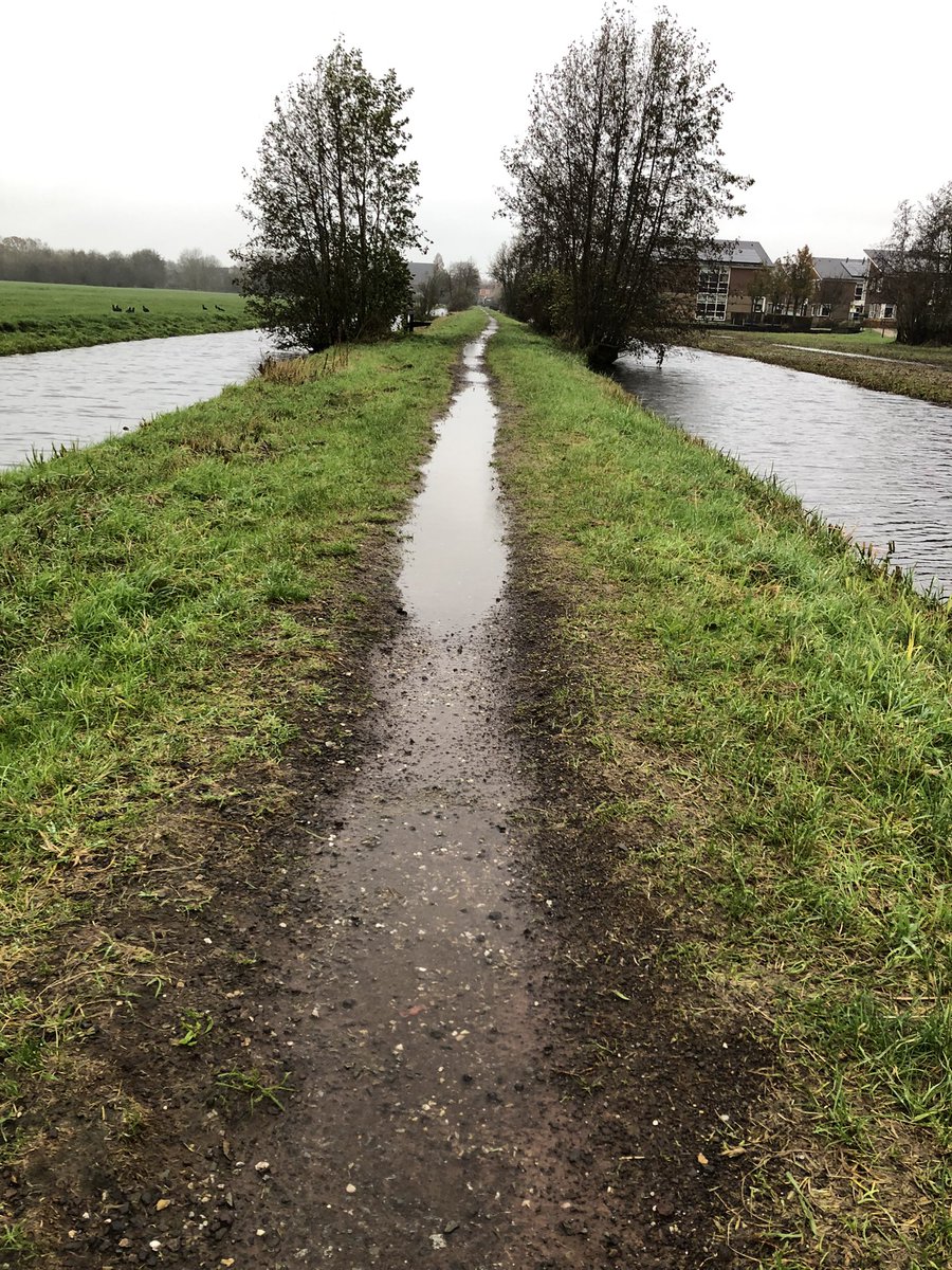 Joop de Hoog tweet media