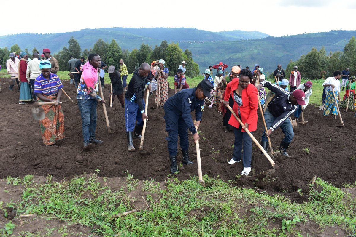 rulindodistrict's tweet image. Muri uyu muganda, urubyiruko rwo mu Murenge wa #Kisaro @rulindodistrict rwifatanyije n'Intumwa za @RwandaParliamnt bari mu iruriro APNAC; aho bateye ibiti by'imbuto n'ibivangwa n'imyaka, bagahanga n'ikibuga cy'umupira w'amaguru ku ishuri rya Kigarama.